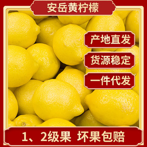 四川安岳柠檬鲜果批发当季12级新鲜水果产地直发尤力克黄柠檬代发