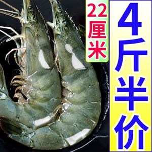 大虾青岛新鲜大海虾鲜活冷冻海捕白虾对虾海鲜水产批发无负担零食