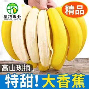 广西高山香蕉9斤新鲜当季水果整箱包邮芭蕉小米蕉批发甜香蕉