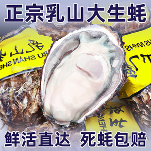 乳山生蚝鲜活5斤净牡蛎活鲜海蛎子新鲜海鲜水产现捕现发整箱批发